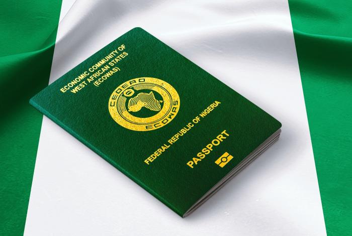 BLP Immigration Article